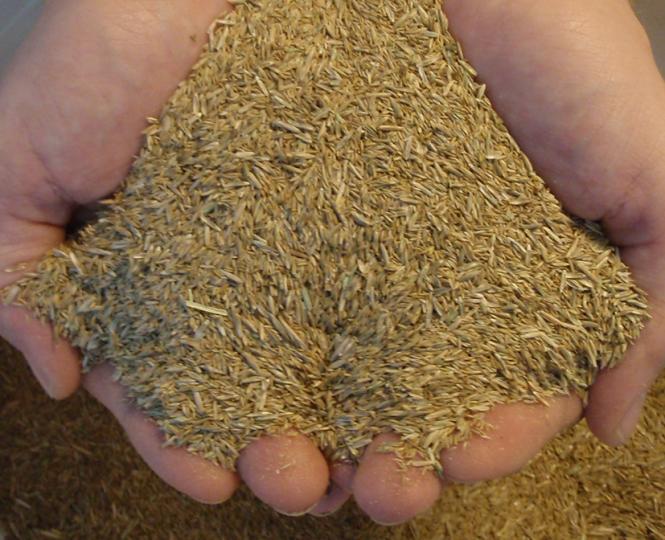 ProSementis Rasen Saatgut mit Keimbeschleuniger schnellkeimende Rasensamen zur Nachsaat PS-44 RSM 3.2 25kg 