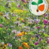 Rasendoktor Blumenwiese für Bienen- und Schmetterlinge